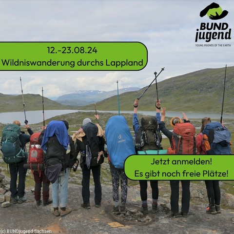 Wildniswanderung in Lappland