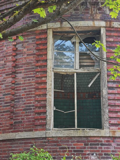 Ein kaputtes Holzfenster in einer Klinkerfassade. Der Raum dahinter ist mit türkisen Fliesen ausgelegt. 