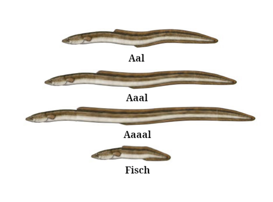 Ein Aal darunter, seht Aal
ein längerer Aal, darunter steht Aaal
ein noch längerer Aal, darunter steht Aaaal, ein ganz ganz kurzer Aal (gephotoshopt) , darunter steht Fisch