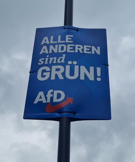 ein Plakat der AfD. Auf blauem Hintergrund steht dort plakatfüllend: "ALLE ANDEREN sind GRÜN!" Darunter das Logo der Partei.