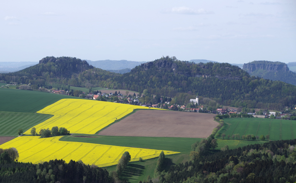 Im Vordergrund Felder, u.a. blühendes Rapsfeld und im Hintergrund Steine vom Elbsandsteingebirge.