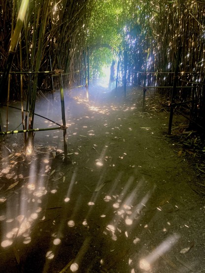 Ein Laubengang von Bambus, auf dem Boden Nebel und Lichtpunkte