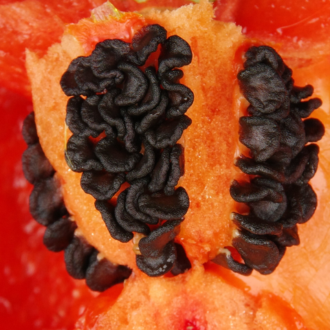 Rotes Fruchtfleisch mit schwarzen Samenkörnern.