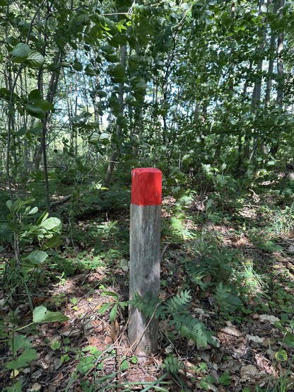Eine schwedische Wanderwegsmarkierung (Holz mit rot angestrichenem Kopf)