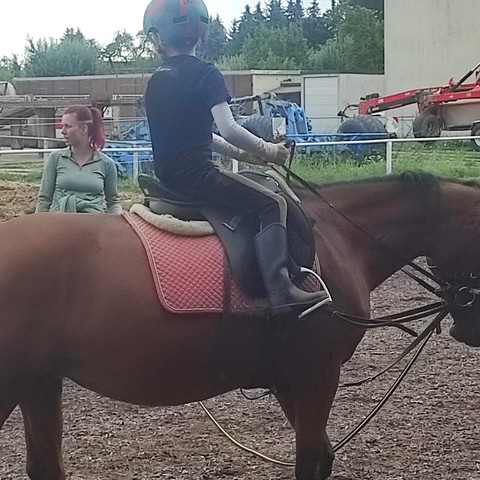 Junge reitet auf braunem Pferd 