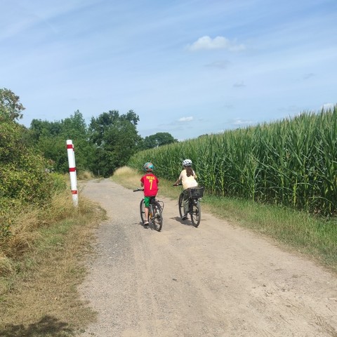 2 Kinder fahren Fahrrad auf Feldweg 