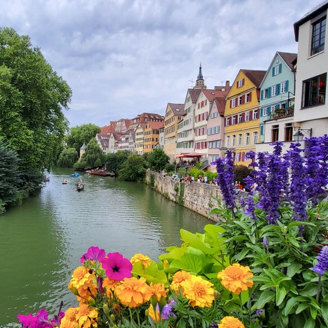 Blick von einer Brücke auf den Neckar mit Booten.  Am rechten Ufer stehen dicht an dicht alte, bunte Häuser. Im Vordergrund Blumen von den Blumenkästen an der Brücke. 