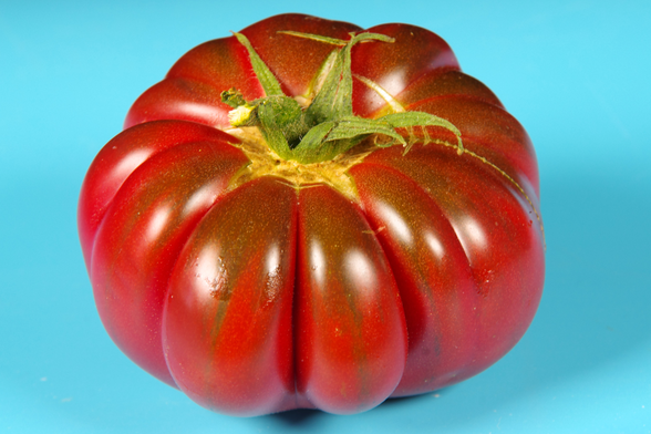 Dunkelrote Tomate mit dunklen Längsstreifen.