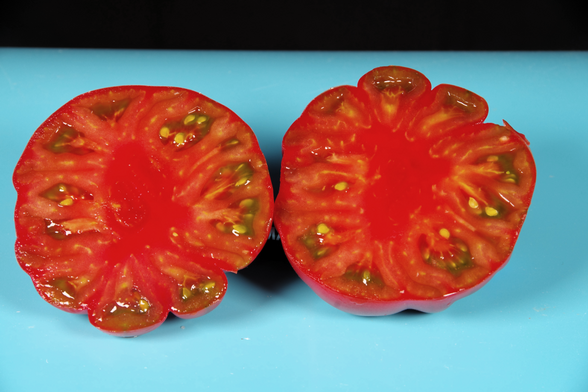 Aufgeschnittene Tomate mit wenig Samen.