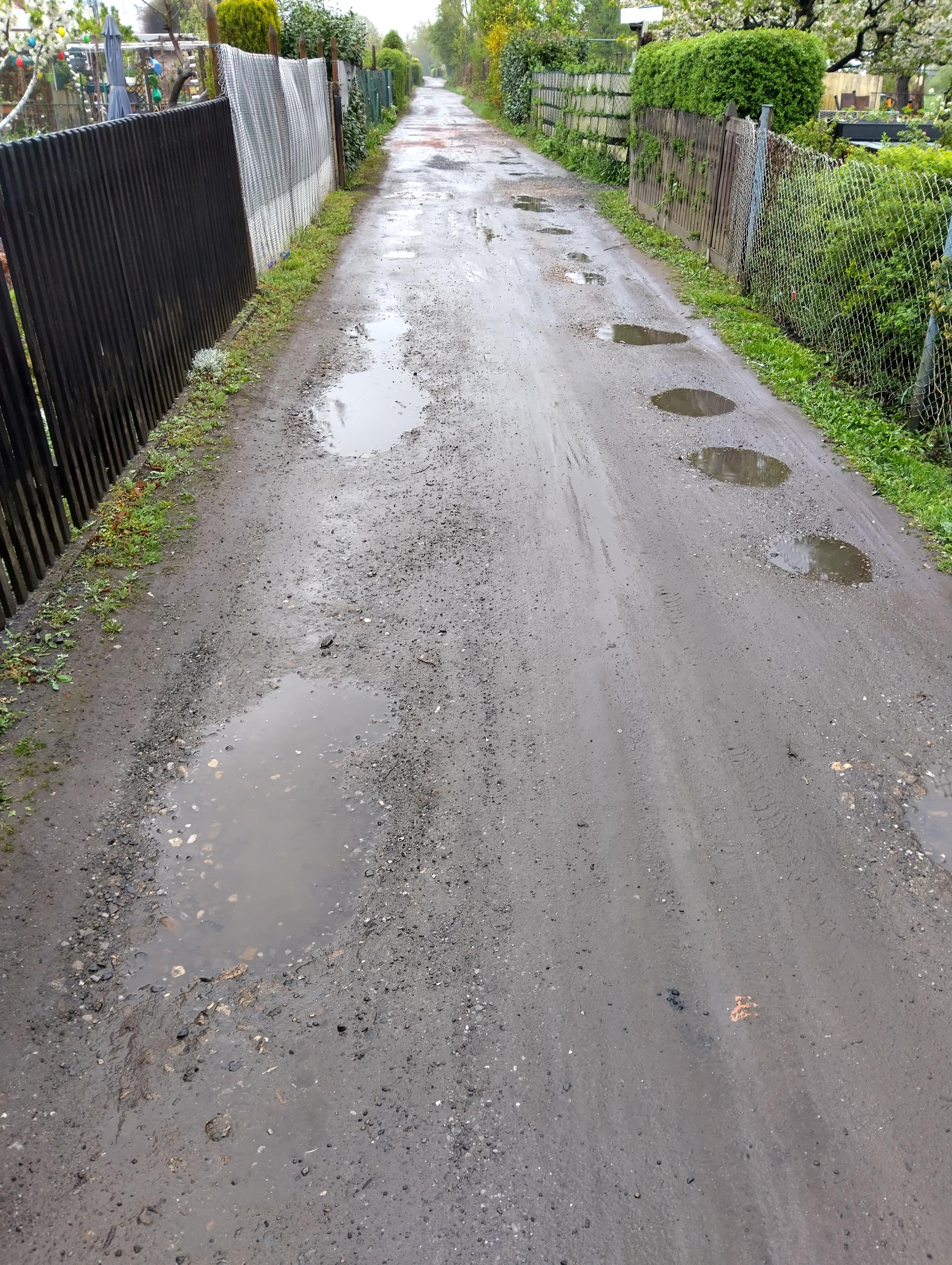 Eine Sandstraße zwischen Zäunen und Hecken von Kleingärten. Der Boden ist nass, die Schlaglöcher, genau in der Breite von Autos verteilt, sind teils voller Wasser. Eine Sandstraße zwischen Zäunen und Hecken von Kleingärten. Der Boden ist nass, die Schlaglöcher, genau in der Breite von Autos verteilt, sind teils voller Wasser.