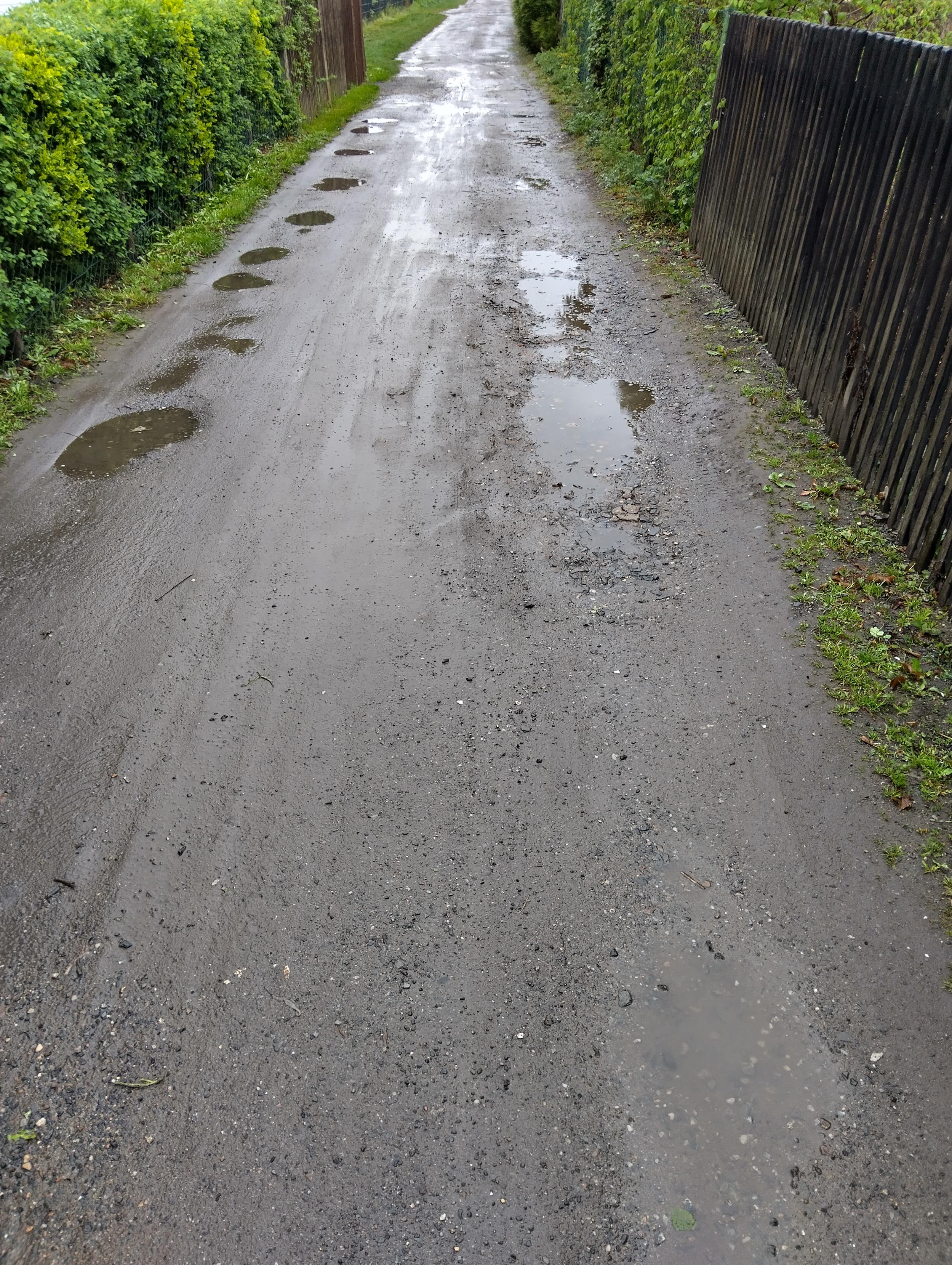 Eine Sandstraße zwischen Zäunen und Hecken von Kleingärten. Der Boden ist nass, die Schlaglöcher, genau in der Breite von Autos verteilt, sind teils voller Wasser. Eine Sandstraße zwischen Zäunen und Hecken von Kleingärten. Der Boden ist nass, die Schlaglöcher, genau in der Breite von Autos verteilt, sind teils voller Wasser.