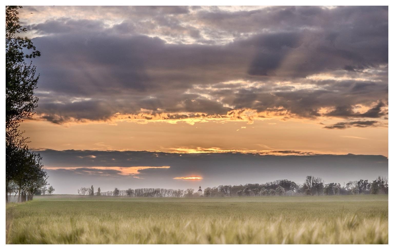 A peaceful landscape featuring a wide field with tall grasses, under a dramatic sky filled with clouds. The sun is setting on the horizon, casting warm hues of orange and gold, while trees line the background. A peaceful landscape featuring a wide field with tall grasses, under a dramatic sky filled with clouds. The sun is setting on the horizon, casting warm hues of orange and gold, while trees line the background.