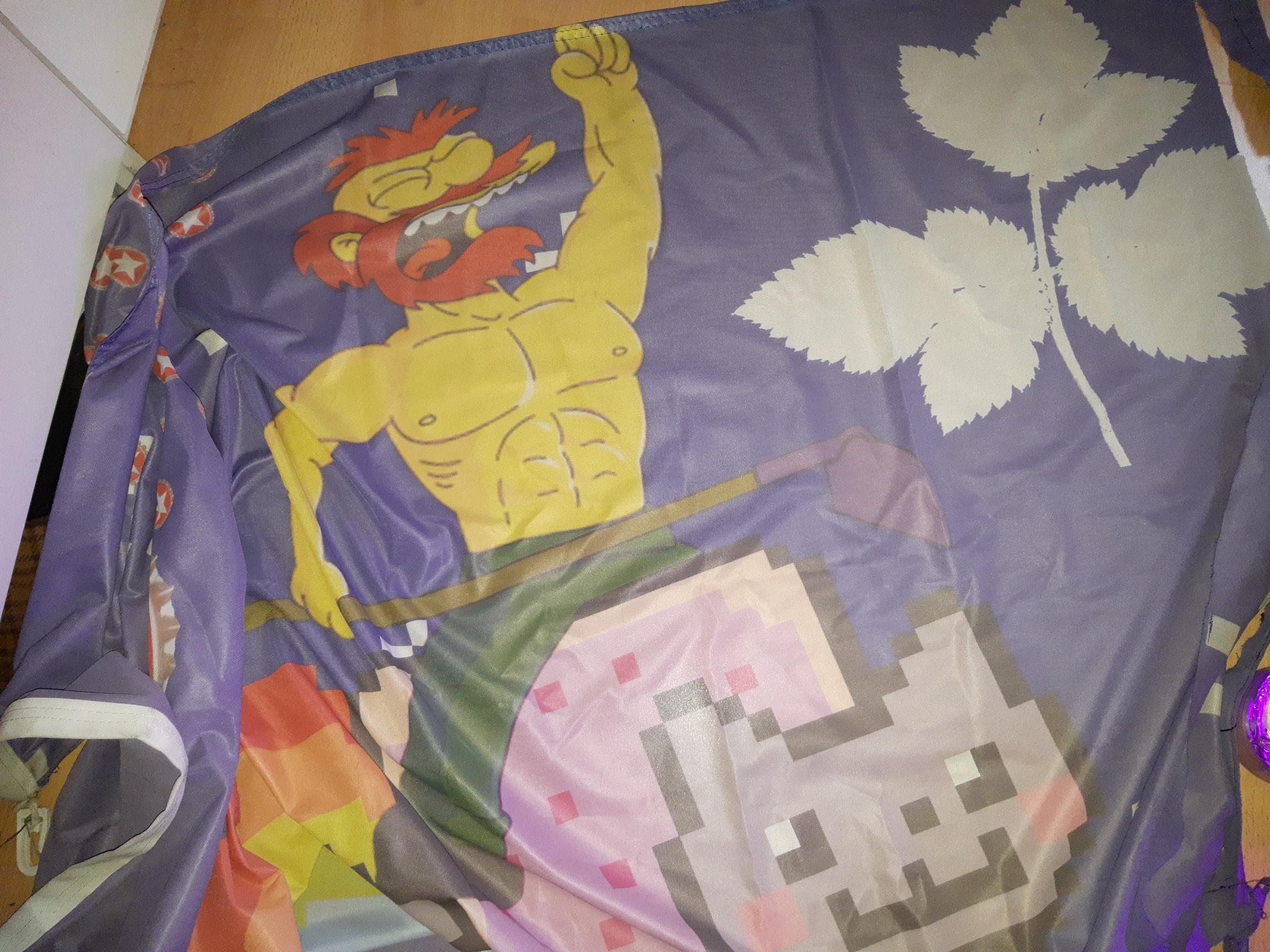 eine Flagge auf der Hausmeister Willy oberkörperfrei auf einem Nyan cat reitet. daneben ist die Silhouette des Girschs abgebildet. eine Flagge auf der Hausmeister Willy oberkörperfrei auf einem Nyan cat reitet. daneben ist die Silhouette des Girschs abgebildet.
