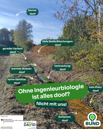 Blick auf einen geradlinigen, ausgetrockneten Graben mit steilen Böschungen, verkrauteter Uferzone und braunem Wasser. Zahlreiche Bildbeschriftungen kritisieren die schlechten Bedingungen: „gerader Verlauf: doof“, „kein Platz: doof“, „Schlamm: doof“, „keine Gehölze: doof“. Unten steht: „Ohne Ingenieurbiologie ist alles doof? Nicht mit uns!“ Das Bild vermittelt, dass ohne renaturierende Maßnahmen schlechte ökologische Zustände entstehen.