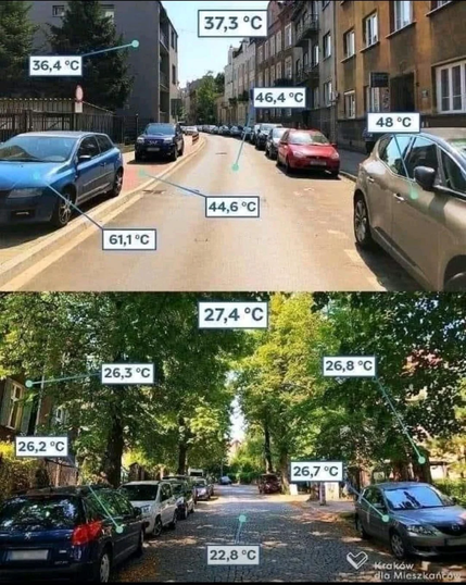 Temperature comparison between street w/wo trees.