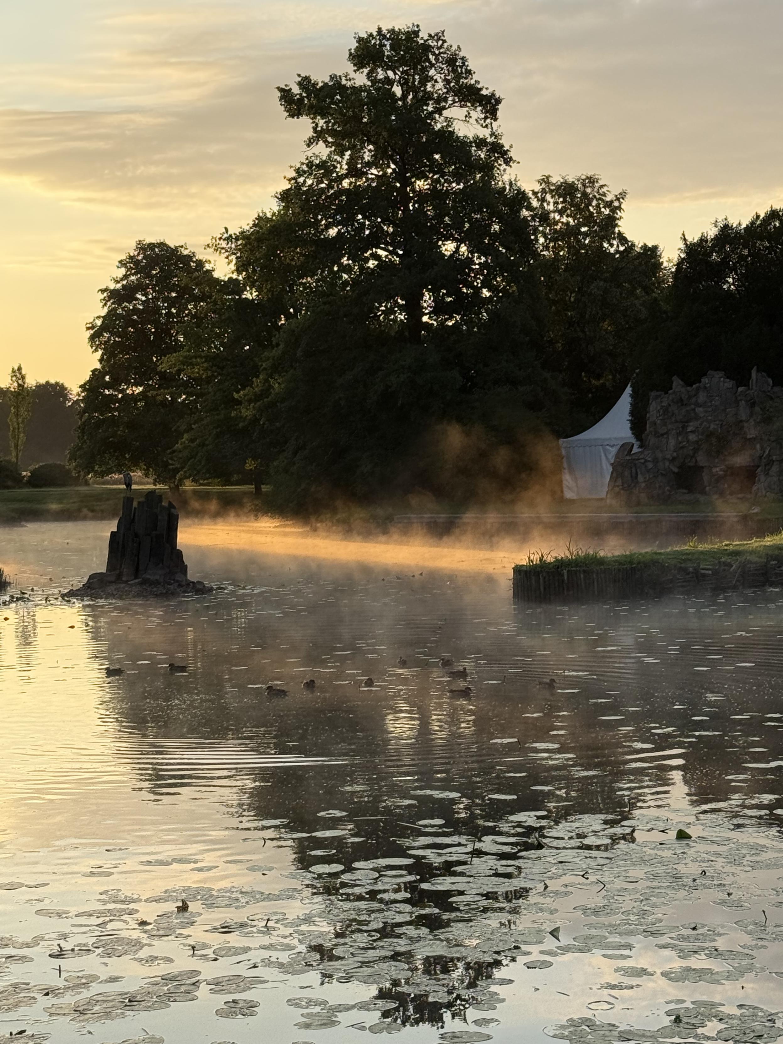 Morgensonne und Nebel über dem Wörlitzsee Morgensonne und Nebel über dem Wörlitzsee
