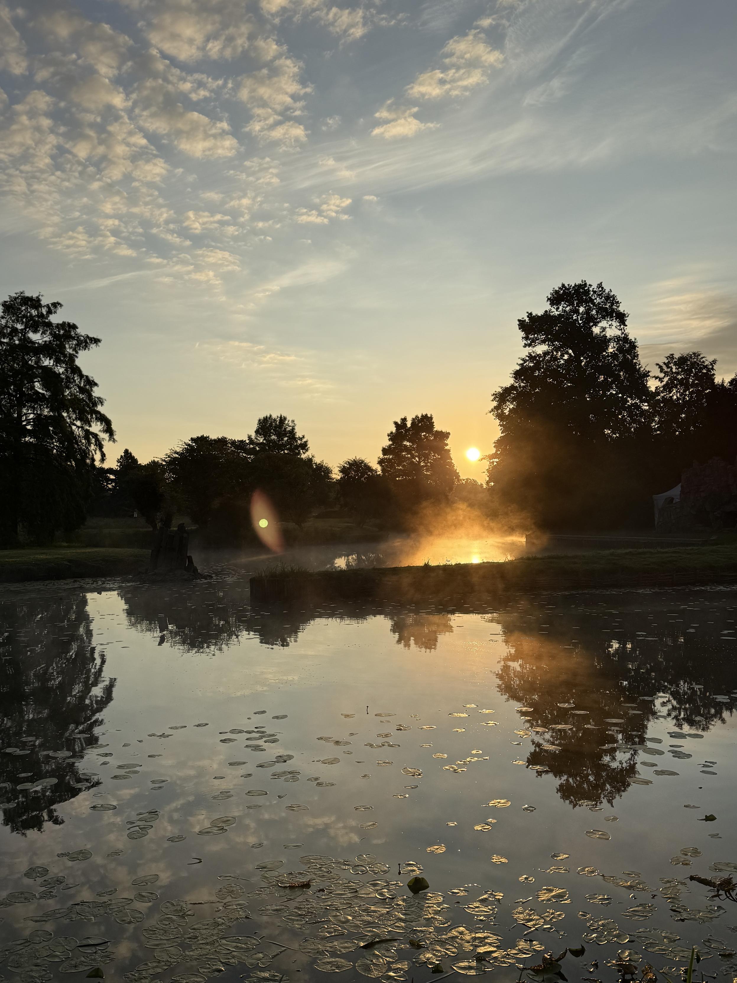 Aufgehende Sonne zwischen zwei Bäumen am See Aufgehende Sonne zwischen zwei Bäumen am See