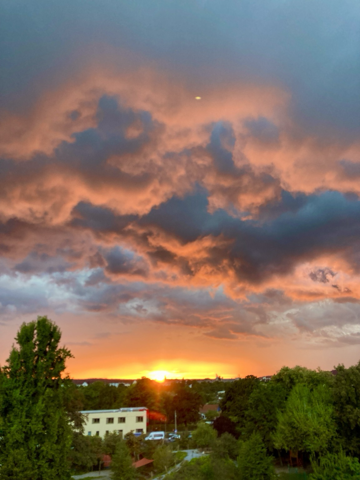Das Foto zeigt einen Sonnenuntergang. Im Vordergrund sind Bäume zu sehen. Direkt am Horizont steht die Sonne. Darüber sind grell orange leuchtende Wolken.