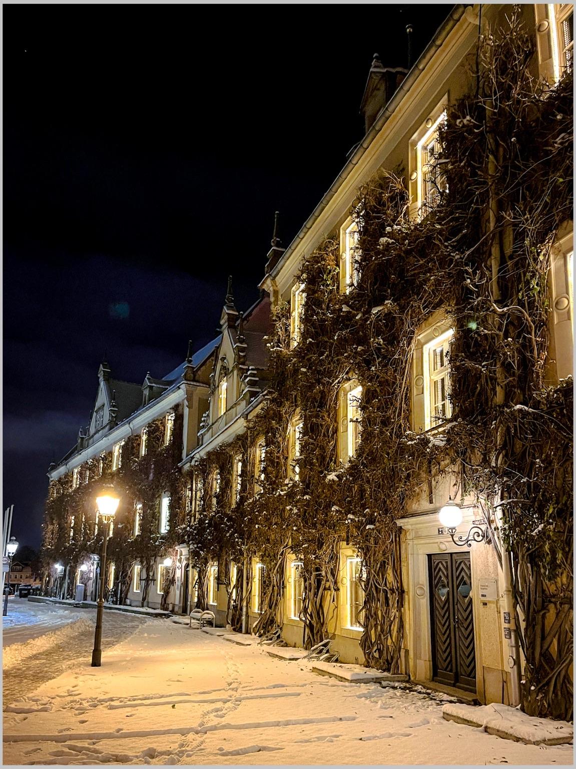 A snow-covered pathway leads past a historic building adorned with vines, illuminated by warm glow from its windows and street lamps. The scene is set at night, highlighting the architectural features and serene winter atmosphere. A snow-covered pathway leads past a historic building adorned with vines, illuminated by warm glow from its windows and street lamps. The scene is set at night, highlighting the architectural features and serene winter atmosphere.