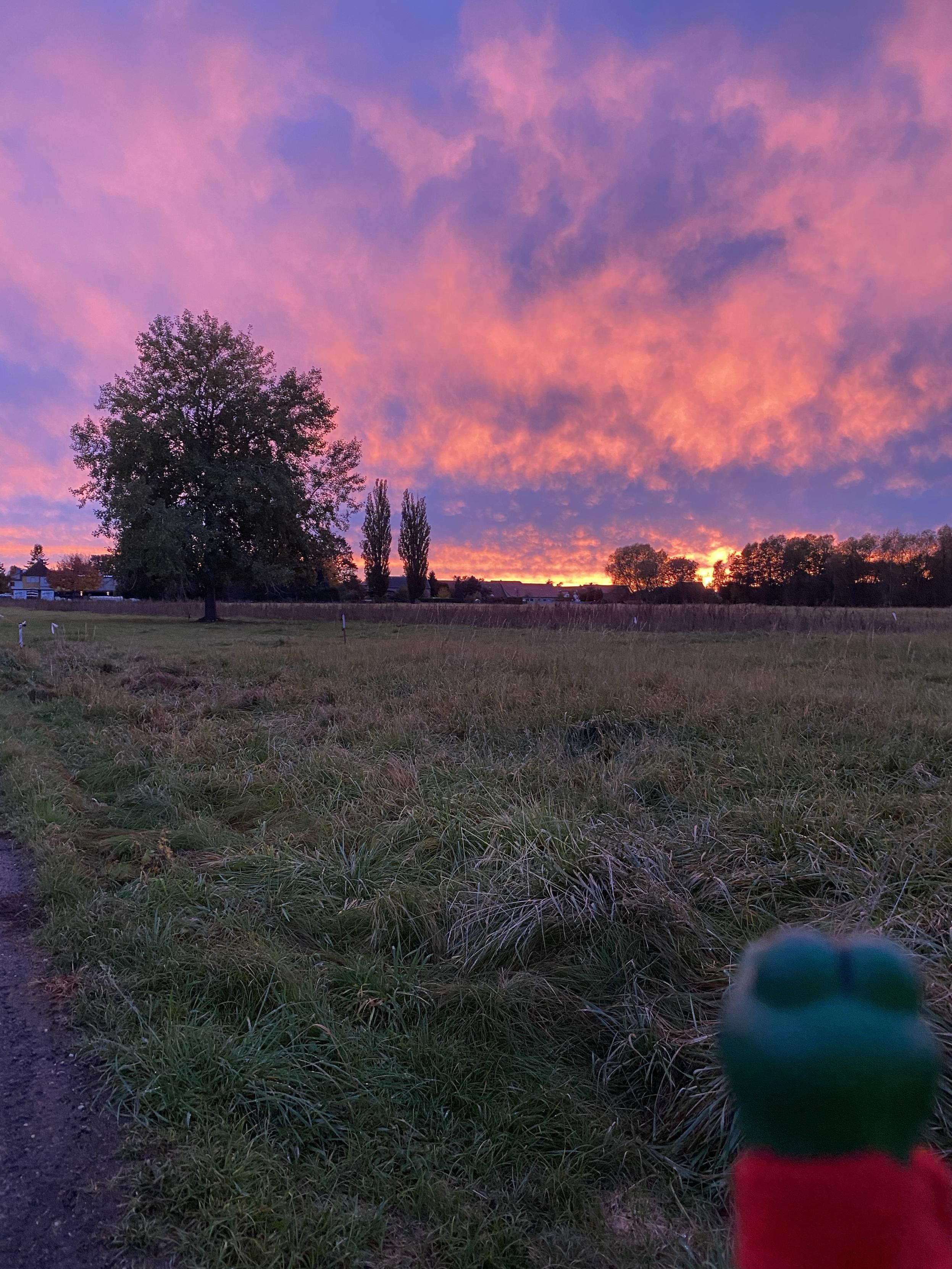 Kleiner dino und der Sonnenuntergang 