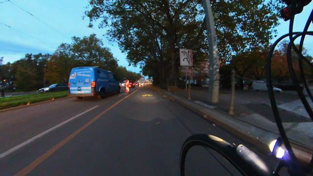 Ein Radweg voller Laub