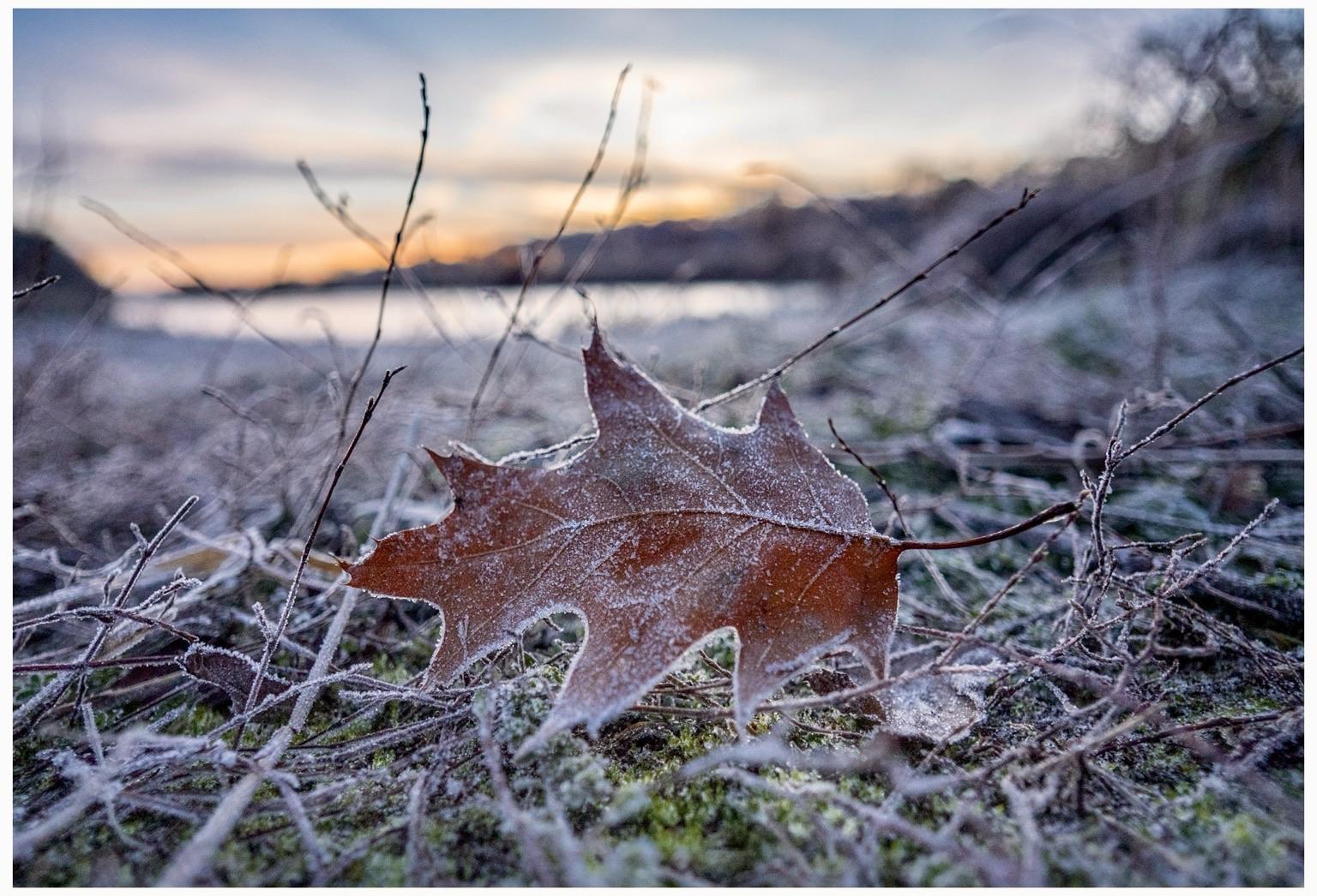 A close-up view of a frosted brown leaf lying on the ground, surrounded by frost-covered grass and twigs. The background features a soft, blurred sunset over a body of water.