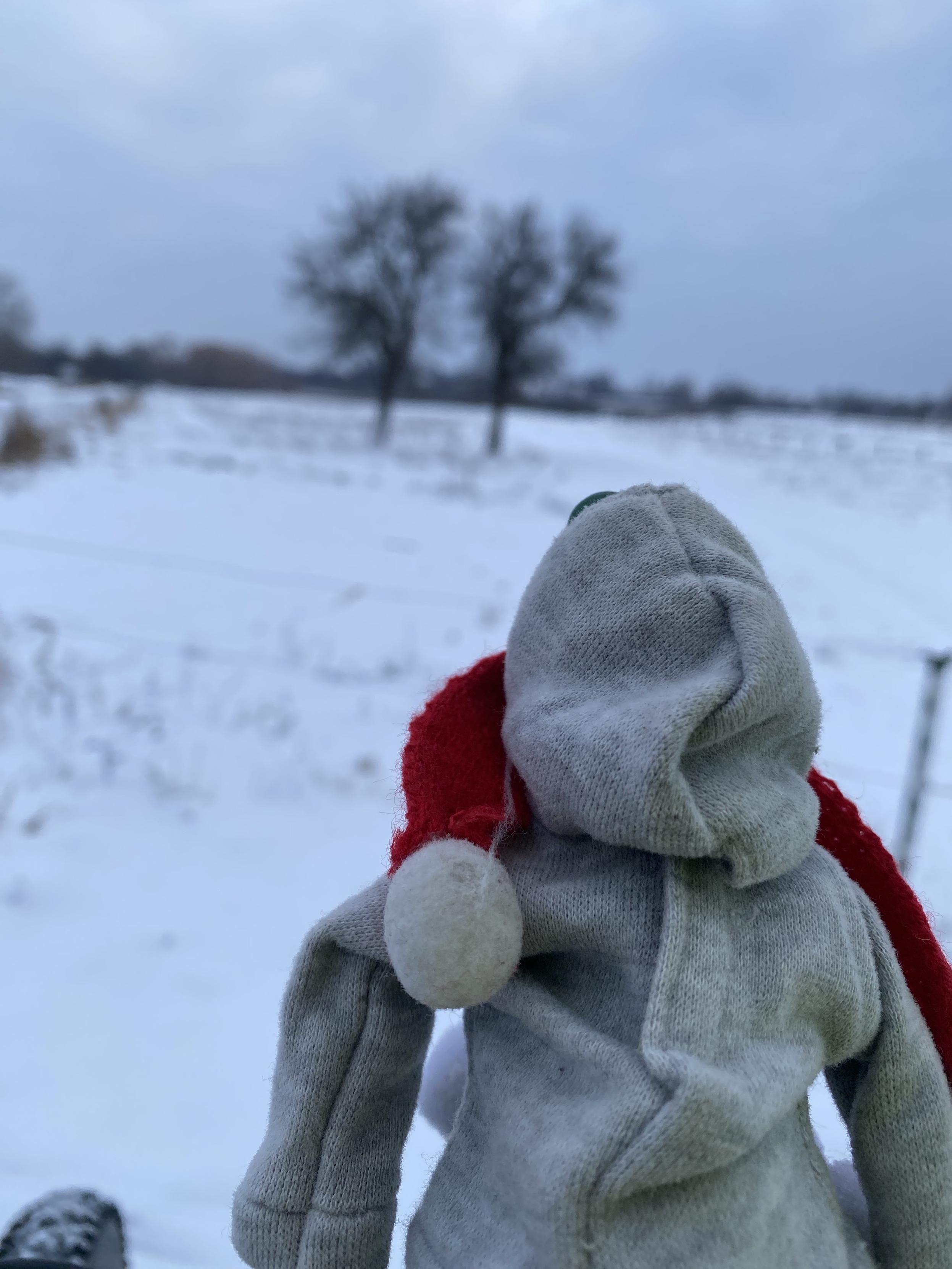 Kleiner dino schaut auf das verschneite feld