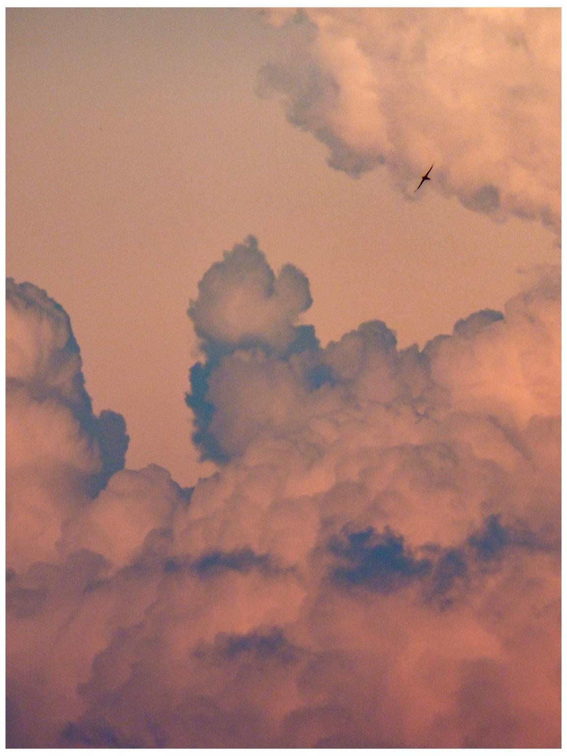 A sky filled with fluffy clouds in shades of pink and orange, with a small bird flying through the scene.