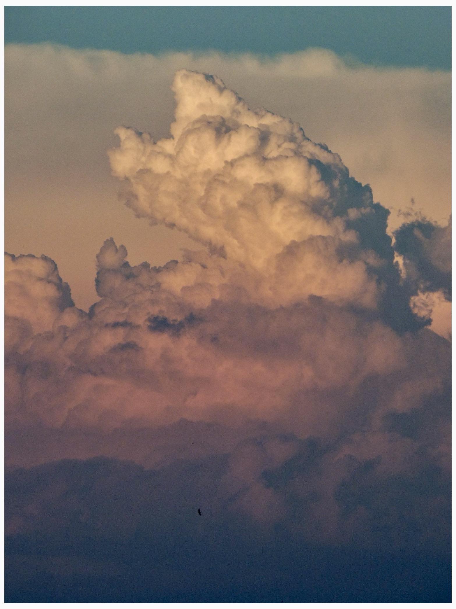 A dramatic sky filled with fluffy, illuminated clouds in shades of orange, pink, and blue, with a small silhouette of a bird flying in the lower left corner.