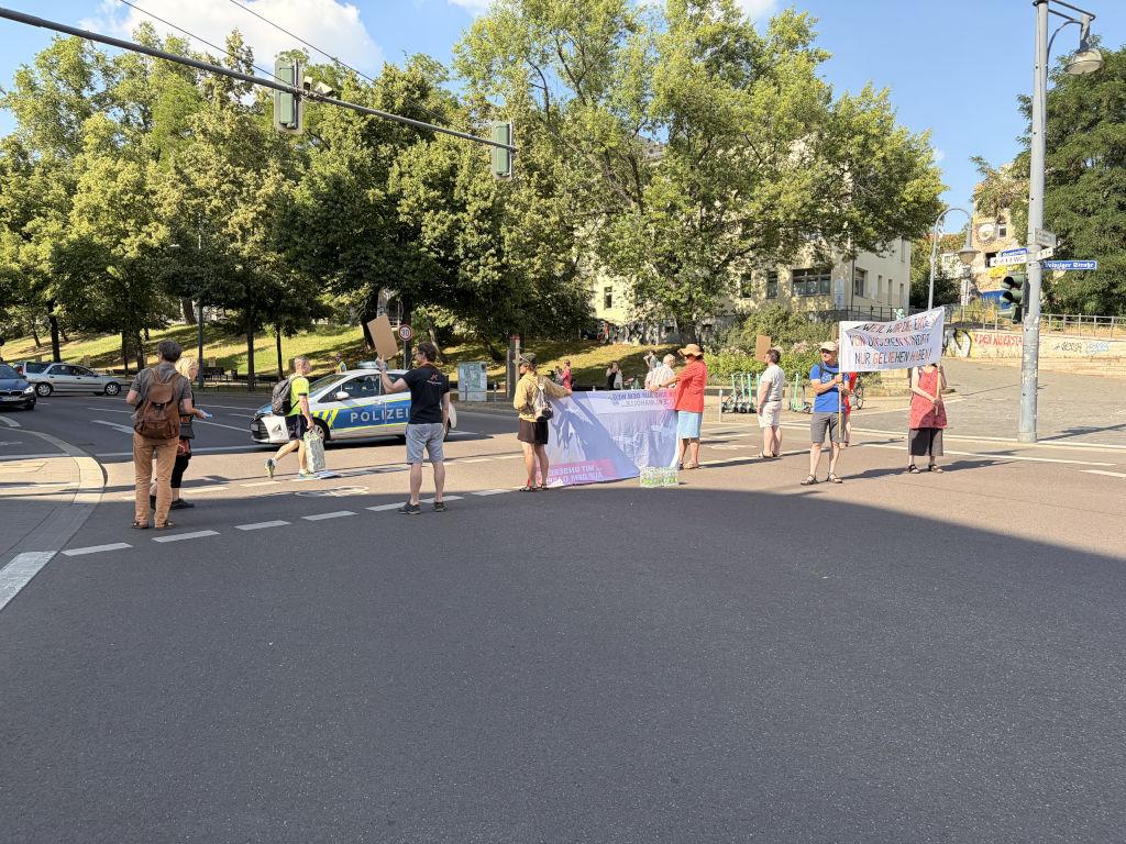 7 Leute blockieren an einer Fußgängerampel eine breite Straße.