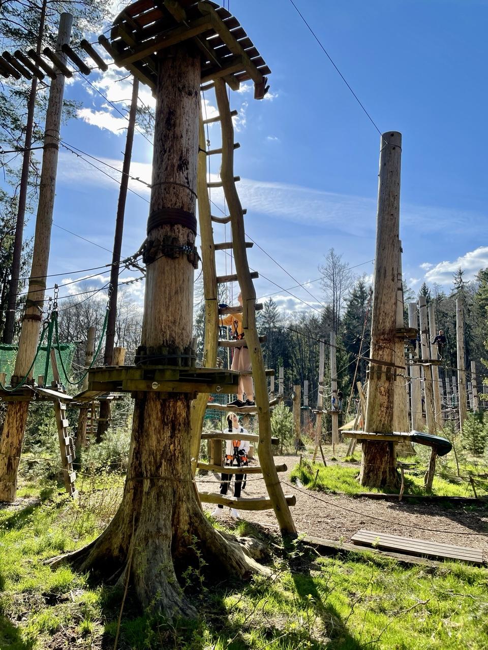 Kletterwald im April 2022: Baumstümpfe mit Leitern, Plattformen, Seilen. Hinten auch intakte Bäume