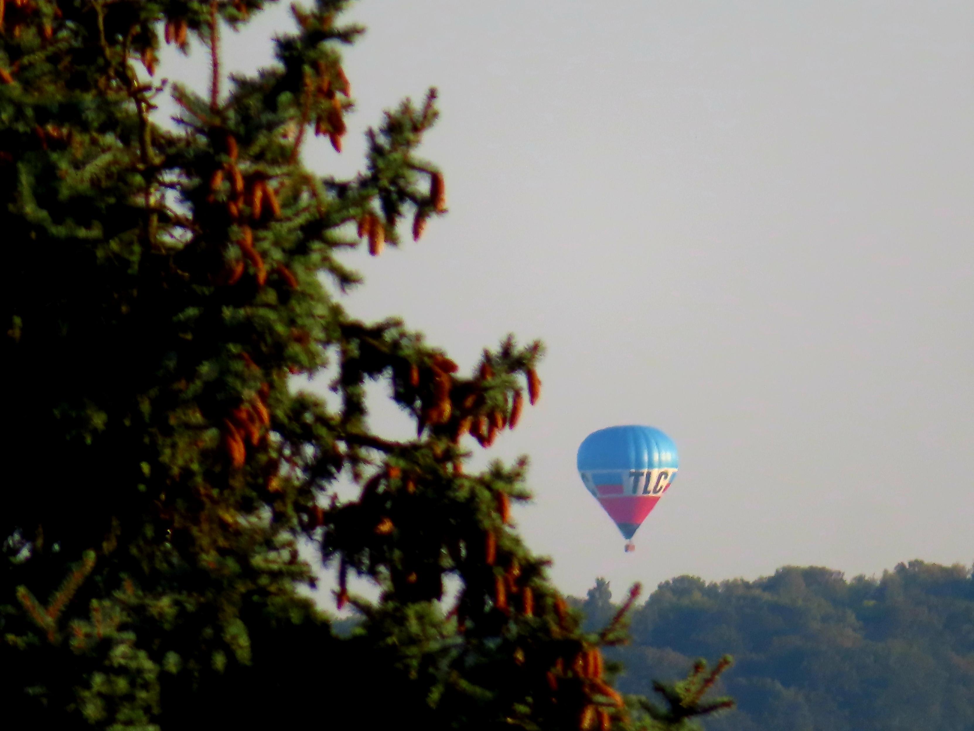 BlauWeißRoter Heißluftballon überm Hügel, weit weg.

Links ein Nadelbaum.