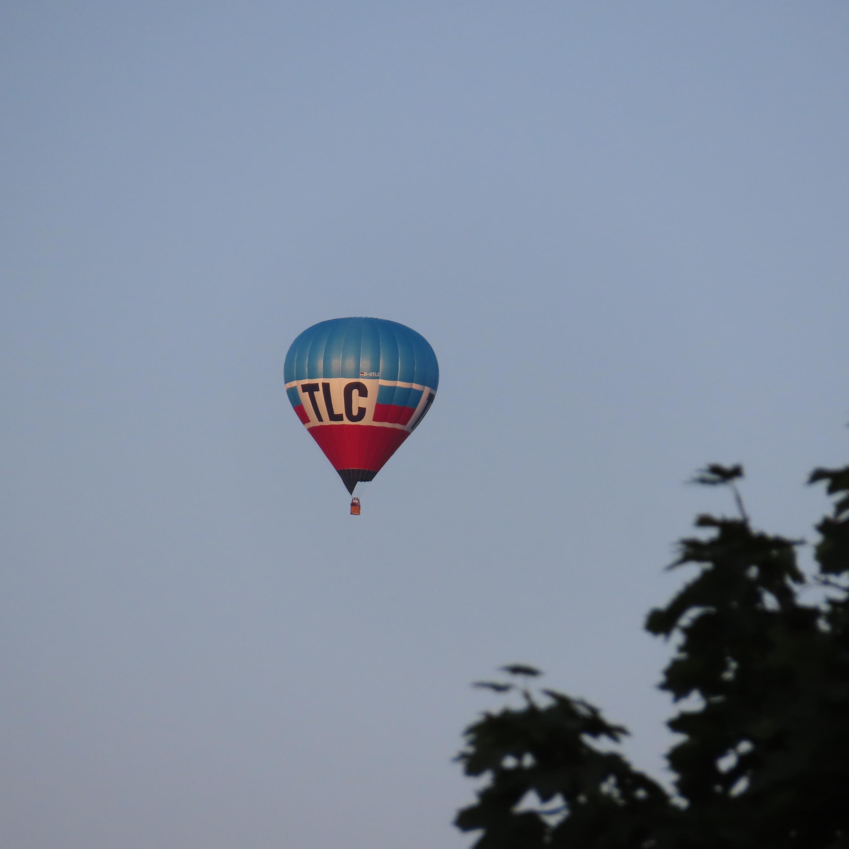 BlauWeißRoter Heißluftballon ebenfalls neben Baum
