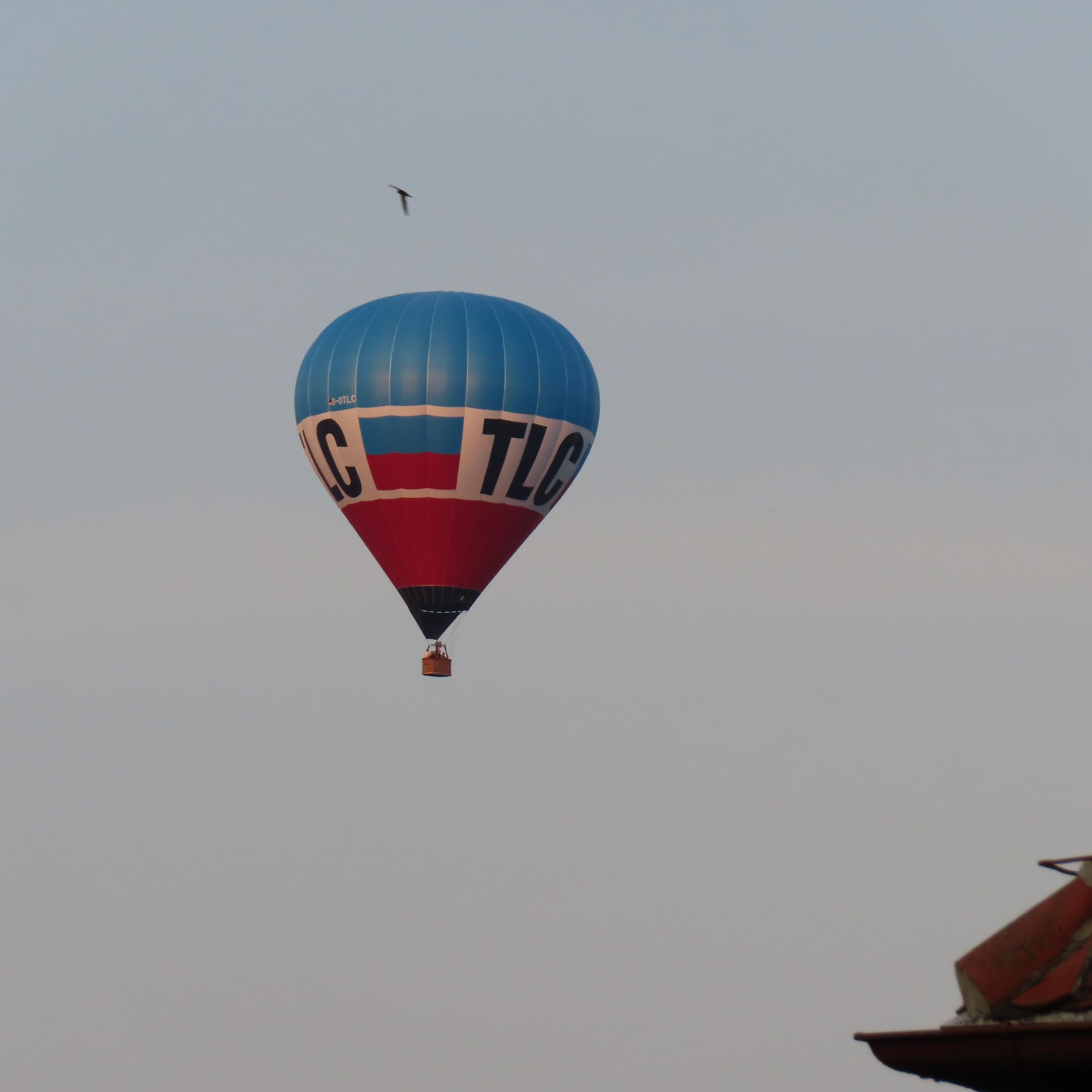 BlauWeißRoter Heißluftballon,  neben Dach.
Mit Vogel  drüber