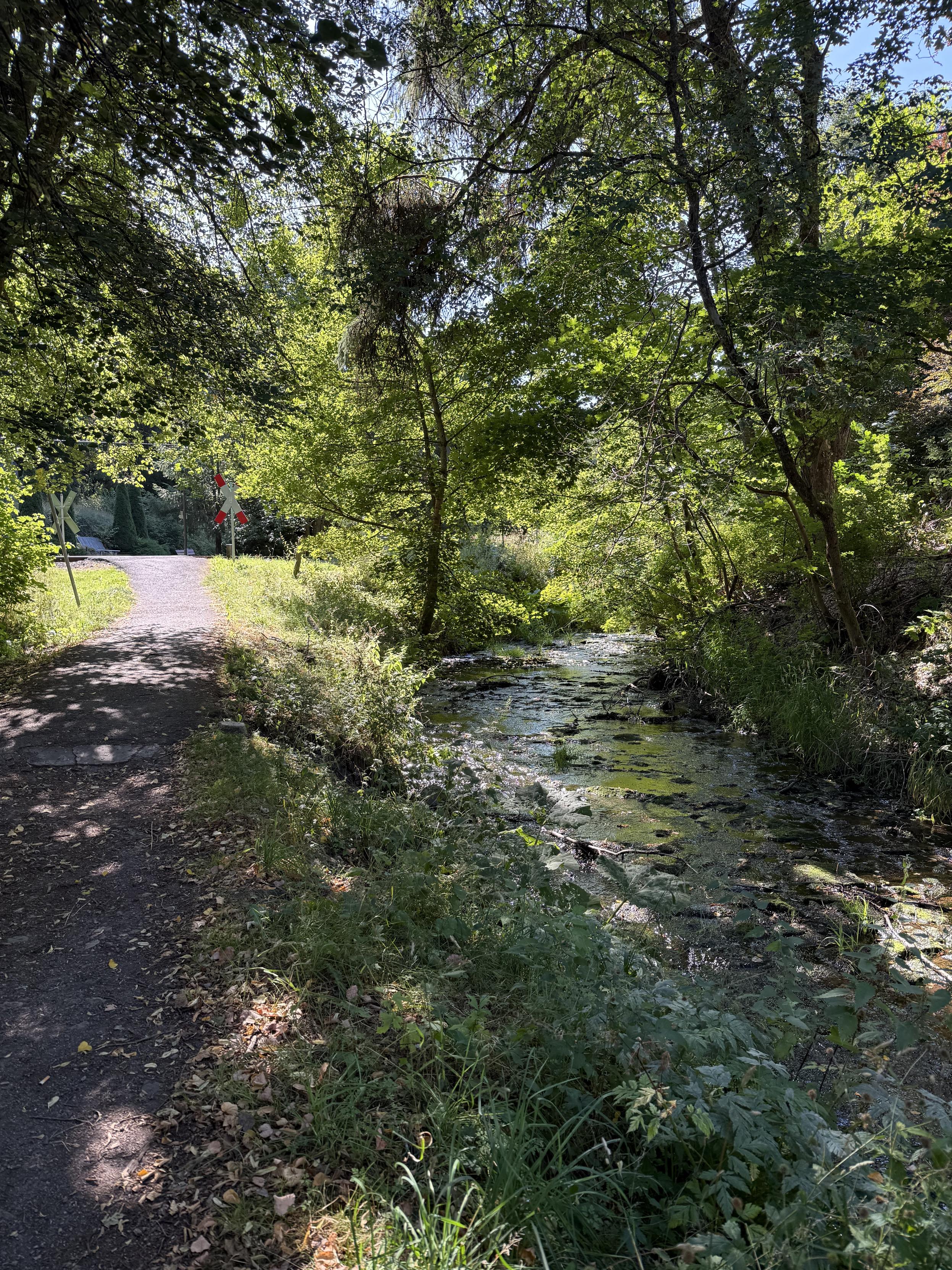 Weg an der Ilm