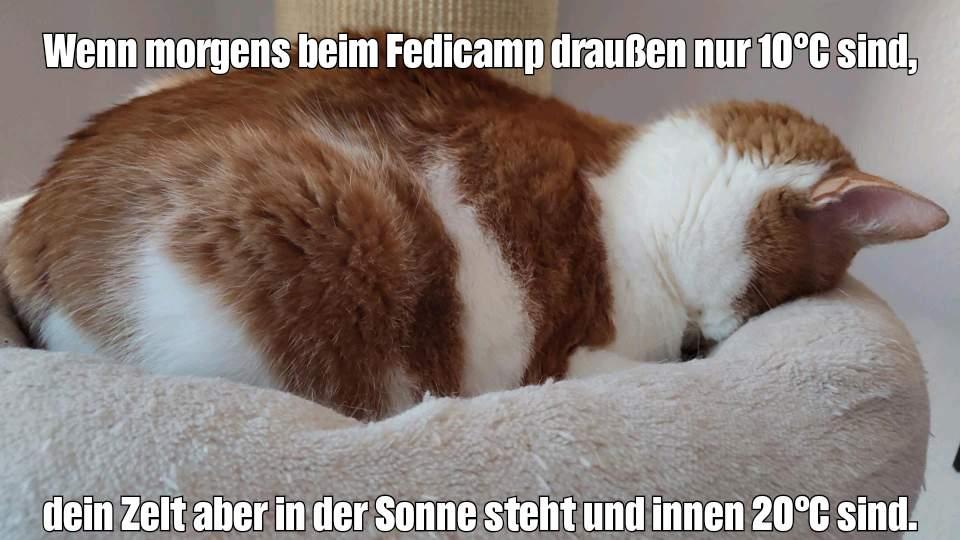 Ein Meme mit einer Katze, die das Gesicht in ein Sitzkissen drückt. Zu lesen ist: Wenn morgens beim Fedicamp draußen nur 10°C sind, dein Zelt aber in der Sonne steht und innen 20°C sind.