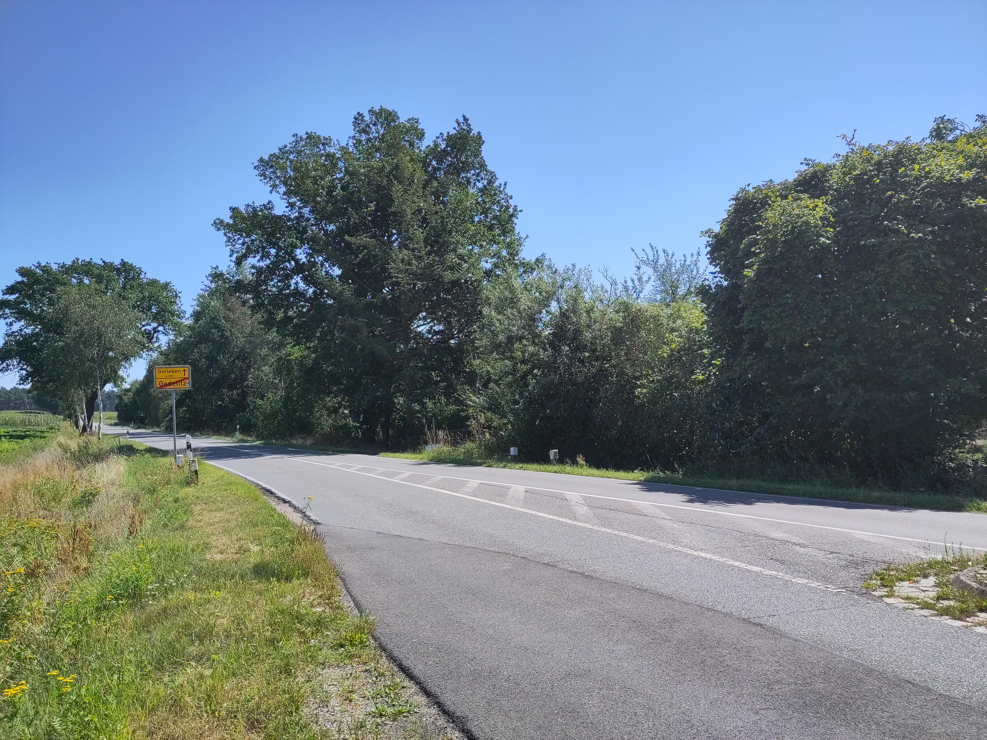 Eine Straße mit Bäumen und Ortsausgangsschild.