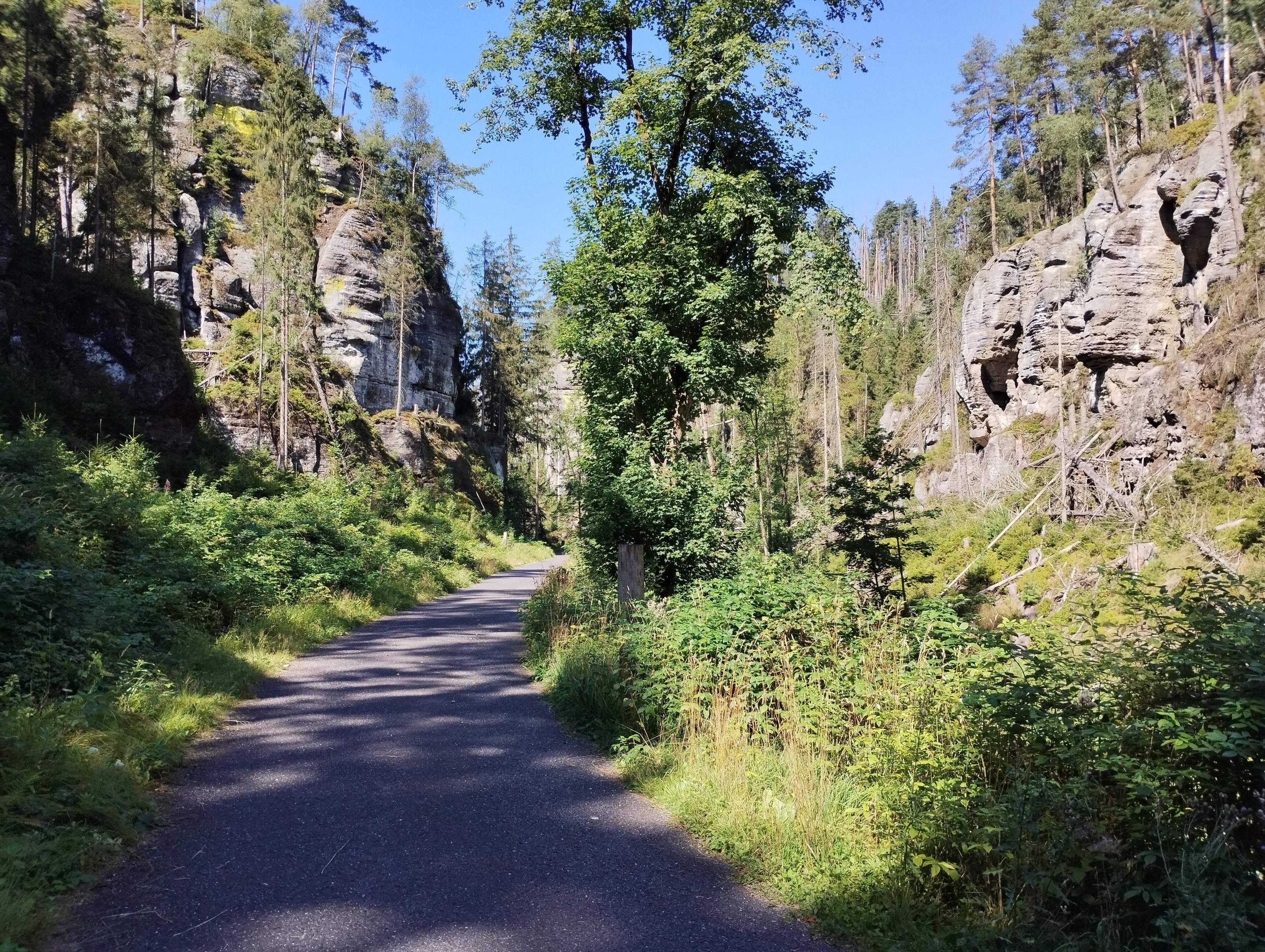 Felsiges Tal, Radweg zwischen Sandsteinfelsen, neben dem Weg üppiges Grün, an und  auf den Felswänden Kiefern, dazwischen immer wieder umgestürzte Bäume.