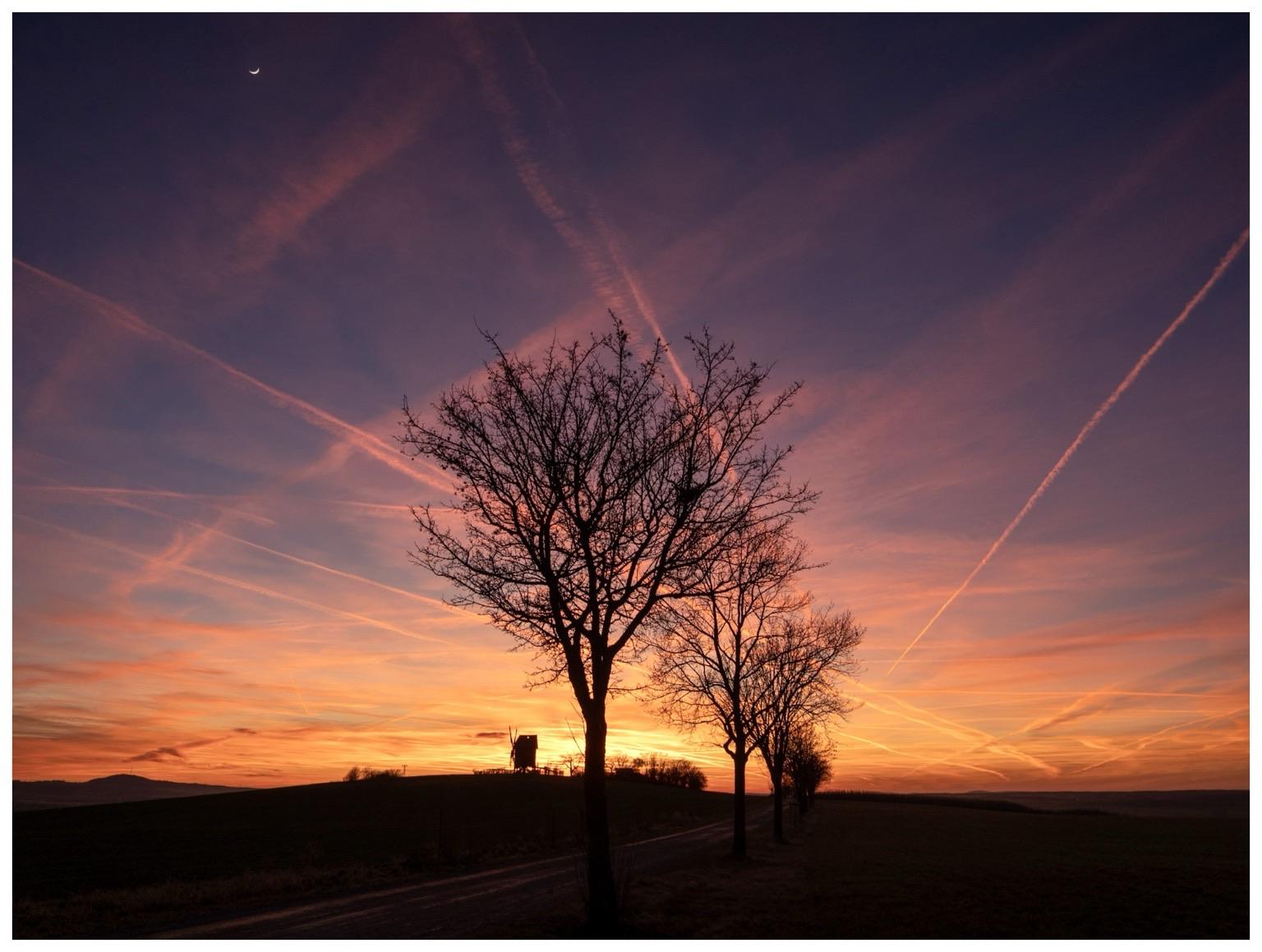 A vibrant sunset fills the sky with hues of orange and purple, contrasting against the silhouettes of barren trees. Wispy clouds and contrails intersect the scene, while a crescent moon is visible in the upper left corner.