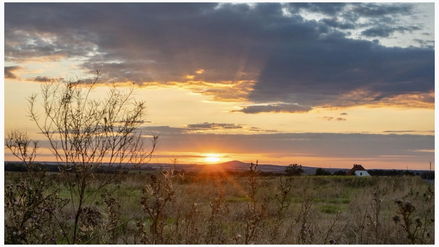 Ein Hügel im Hintergrund hinter den die Sonne unter dunkelblauen Wolken untergeht. Davor ein Feld mit Gras und vertrockneten Pflanzen.