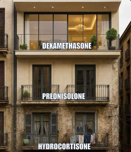 Foto eines Gebäudes, oberste Etage sehr schick und modern (Dexamethason beschriftet), mittlere Etage ganz okay (Prednisolon beschriftet), die untere Etage ist sehr runtergekommen (Hydrokortison beschriftet).
Hinergrund: Avaskuläre Knochennekrosen sind eine Komplikation einer Langzeit-Therapie mit Glukokortikoiden.